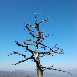 joyvoyage1's profile picture. 지금은 침묵의 시간