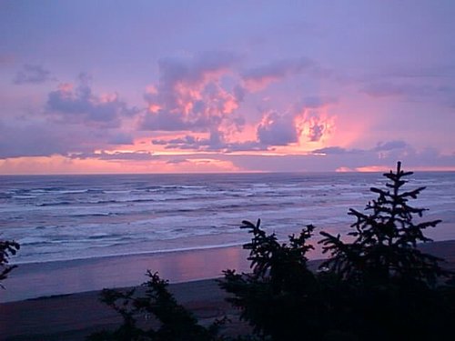 nativewisdom's profile picture. Only when the last tree has been cut, and the last river poisoned, only then will you find that money can't be eaten.