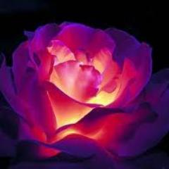 Haydee_03's profile picture. 