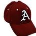 Annapolis Baseball (@annapolisbb) Twitter profile photo