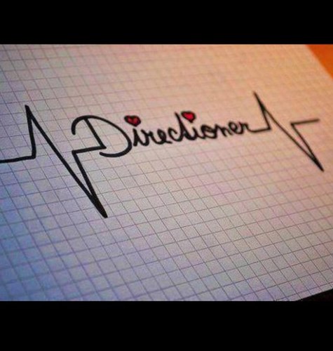 ❤We're not fans We're directioners We're not obsessed We're dedicated We're not friends We're family❤