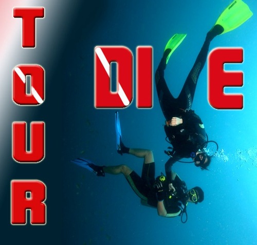 TourDive's profile picture. 