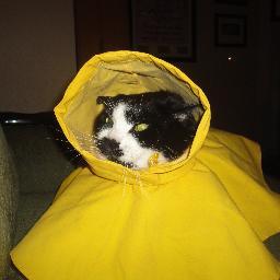 fuzzybutt33's profile picture. 