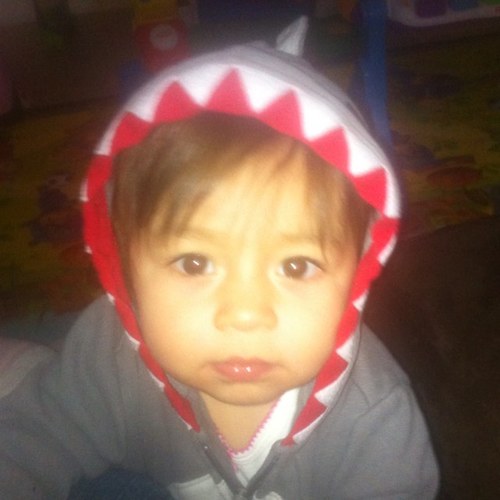 Eric Riedl (@garlicshark) | Twitter