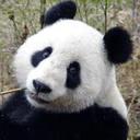 Muhd Aiman Ibrahim - @aim1799 - Twitter