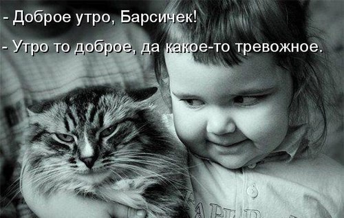 kuropatka2005's profile picture. 