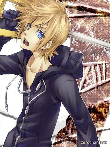 Name's Roxas. Number XIII in the Organization. Keyblade wielder and suchs. ~Kingdom Hearts~