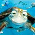 Tortugocerdoso (@mariavmvm) Twitter profile photo