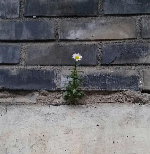 jelibbo's profile picture. 자연스럽게 살고 싶은 사람. 책 편집자.