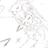souffleさんのプロフィール画像