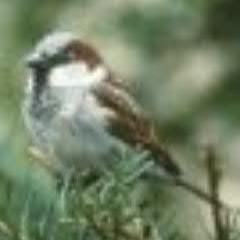 Wroobi84's profile picture. Kto ma wiedzieć, ten wie.