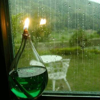 computershop05's profile picture. 