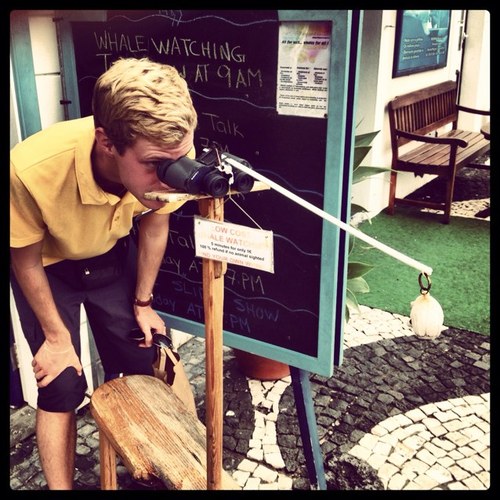 akselsundas's profile picture. 