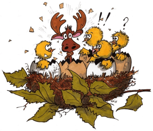 hybridprofi's profile picture. Joomla! Är vår grej
Vi bygger, underhåller, uppdaterar och migrerar
Joomla! hemsidor och webbutiker