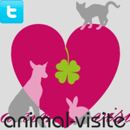 animal_visite's profile picture. Im Auftrag der Tiere unterwegs um Hand in Pfote Mensch und Tier zu begleiten.