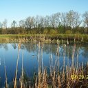 Judy Vick - @JudyV4 - Twitter