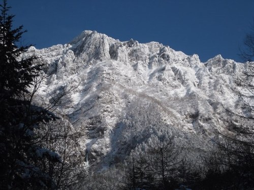 bianco4810's profile picture. #肉球新党#猫の生活が第一 党員🐱 阿弥陀岳北西稜はパス。冥土の土産に中央稜。