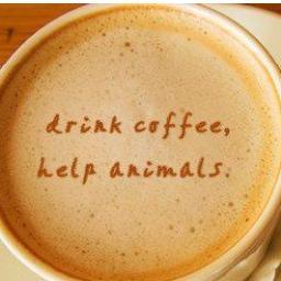 raisemoney4pets's profile picture. http://t.co/ZSvGldqV sells Rescue Roast gourmet coffee to anyone who loves coffee and helping animal rescues, as they get all the proceeds!
