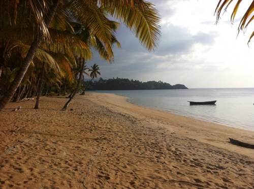 consultant en entreprise depuis 35 ans en république dominicaine