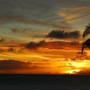 Cathy Kenny - @shortiezcfc - Twitter