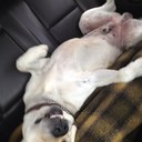 lynn Parrish - @Lynnparrish13 - Twitter