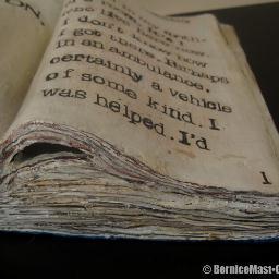100 great novels-reading them, making them as sculptures and blogging.