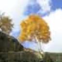 Lewis Merrill - @NathanChavez253 - Twitter