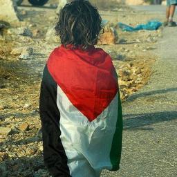 le_pasquinate's profile picture. Insegnante libertario