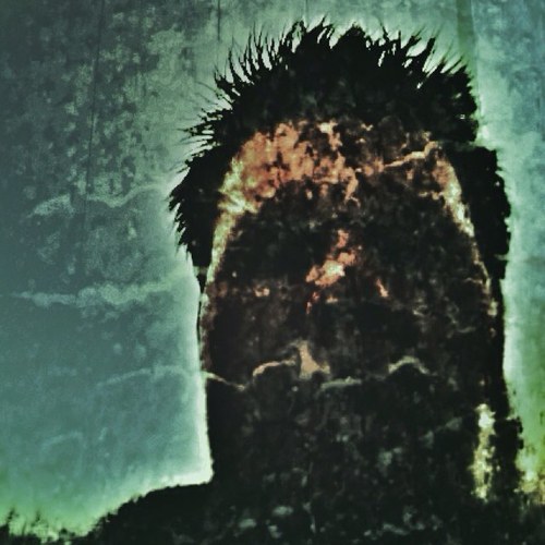 cck1973's profile picture. Sex, Murder, Art