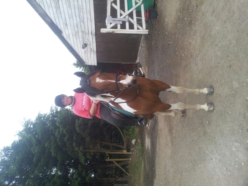 i'm just me hard working missed understood love my horse & dogs & the dogs that i work with .