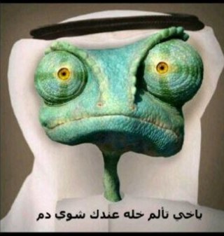 alhhaauu's profile picture. 