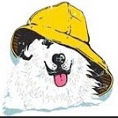 r2buoy's profile picture. 