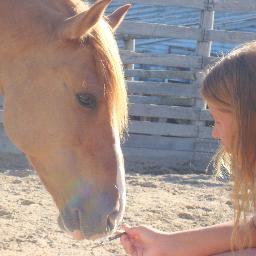 gabrielekolling's profile picture. 