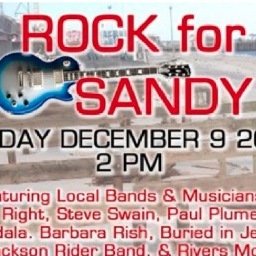 DEC 9th at RHO WATEFRONT Mercer County! 2pm  Music Benefit with artists and Red Cross to raise money for the Victims of Hurricane Sandy