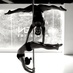 DynamicAerialFitness (@asteriaarts) Twitter profile photo
