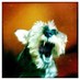 Forced Exposure (@forcedexposure) Twitter profile photo Forced Exposure (@forcedexposure) Twitter profile photo