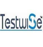 Testwise's profile picture. Communication Testing Solutions Company for Network Equipment Manufacturers, Service Providers, Enterprise and Government offices.