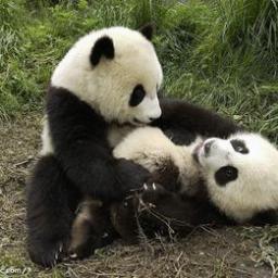 The world is not you & it is not me.That are everyone's.Please hand together to make the world well.
