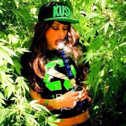 Just say fuck it ! #StonedPrincess. http://t.co/dT34pQ3ZUa FOLLOW.