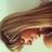 janainaperez's profile image