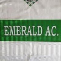 Emerald AC(@EmeraldAC) 's Twitter Profile Photo