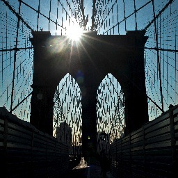 CuratingNewYork's profile picture. Exploring the people, places and culture of the greater New York area.