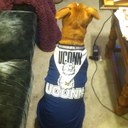 Robert Decelles - @DCELL85 - Twitter