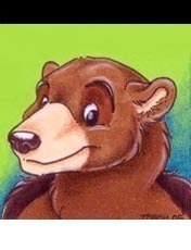 buzzz_bear Profile Picture