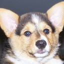 Duke Edwards - @DukeofDukesBest - Twitter