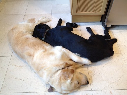 victoriafarrer's profile picture. no