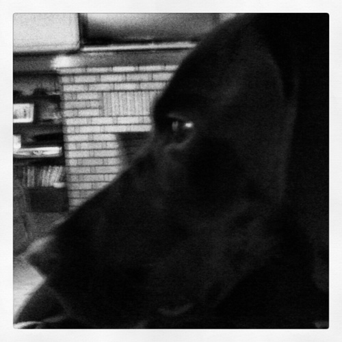 kcobuffalo's profile picture. twitter is my message in a bottle and you're the people standing on the shore.