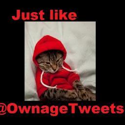 ♥ Ik ben de oude bromtrol ♥ u Mad Bro? ♥
                      ♥ We are legion ♥
        ♥ Cause none of us are as cruel as all of us ♥