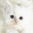 رشا محمد احمد (@01229995921) Twitter
