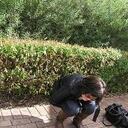 Gwen Wang - @gwenwxl - Twitter